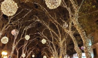 Encendido de Luces de Navidad