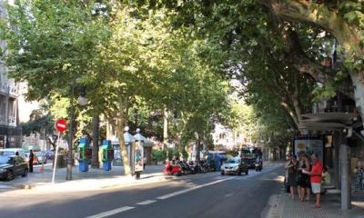 Restricciones del tráfico desde Jaime III (Bar Bosch) hasta la Rambla.