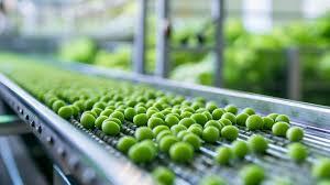 Proyectos industriales agroalimentarios 