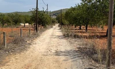 AFEDECO presenta alegaciones al Anteproyecto de Ley Agraria 